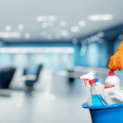 A person holding onto some cleaning products